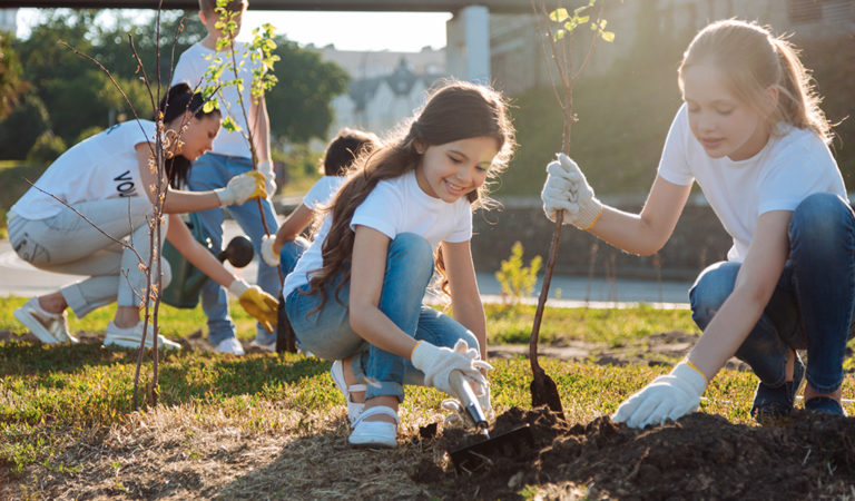 Volunteers planting some trees