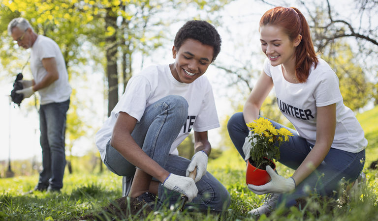teens volunteering to plat a shrub