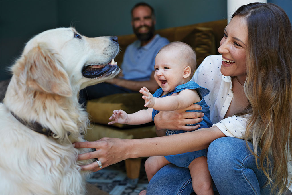 Smiling Family and their Dog
