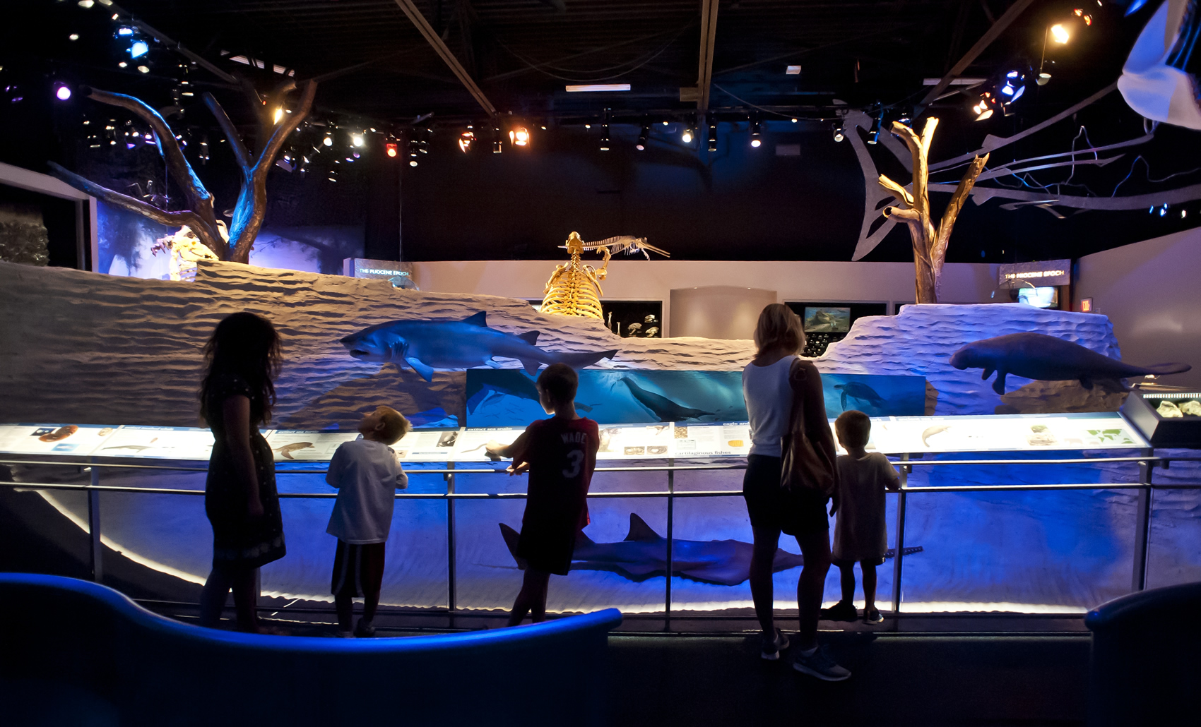 Kids viewing sea creatures.